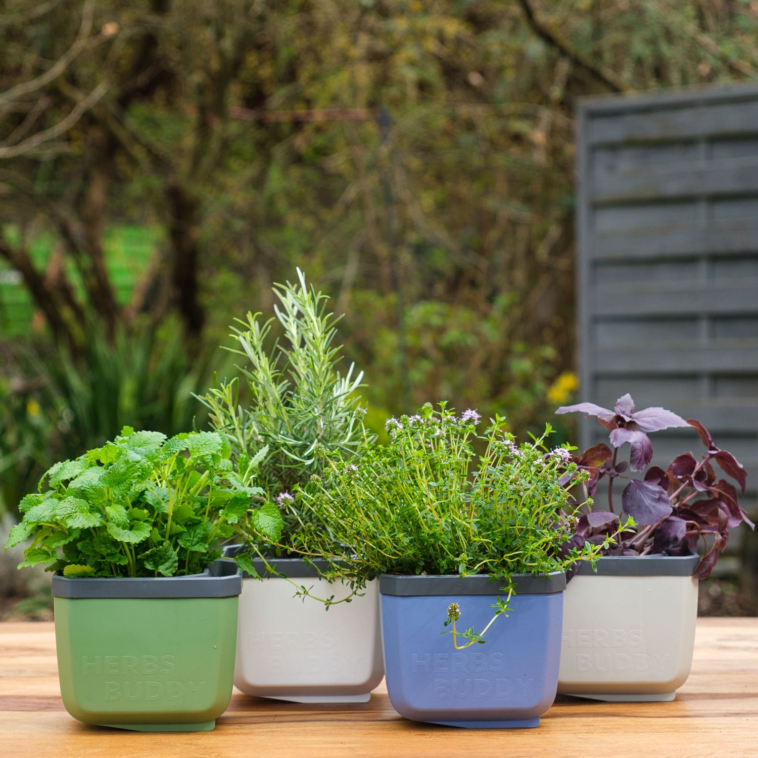 Samozavlažovací kvetináč na bylinky Herbs Buddy farby